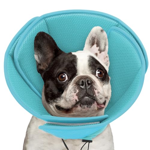 Image of Queenmore Soft Dog Cone Collar, Comfortable Cones for Small Dogs /Cat