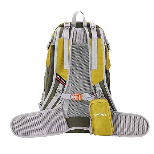 Olympia USA Conqueror 19" H Outdoor Daypack with Adjustable Shoulder Strap 25L - Ocean Blue4