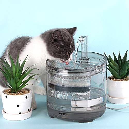 オススメできる 猫 小型犬用 自動給水機 Wf050tp レビュー ゲームの間