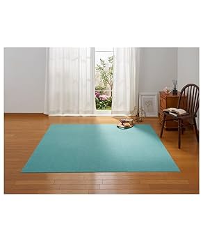 Amazon.co.jp: サンコー おくだけ吸着 獣医師推奨 ペット用撥水