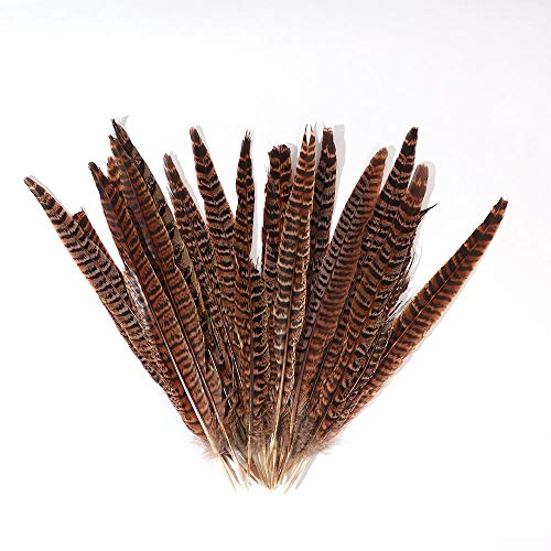 DUOKEAI 20pcs Natural Pheasant Tail Feathers for Crafts Pheasant Tails 8-12inch(20-30cm) Party Decorations Crafts DIY Feather Tails