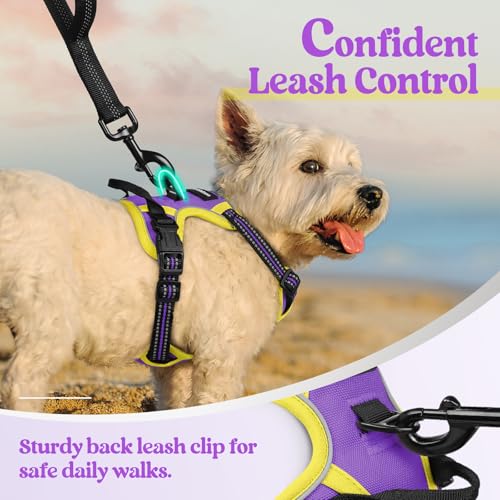 Image of rabbitgoo Dog Harness No Pull with 2 Leash Clips, Adjustable Soft Padded, Reflective Oxford No Choke Pet Vest with Easy Control Handle for Puppy, Purple & Yellow, XS