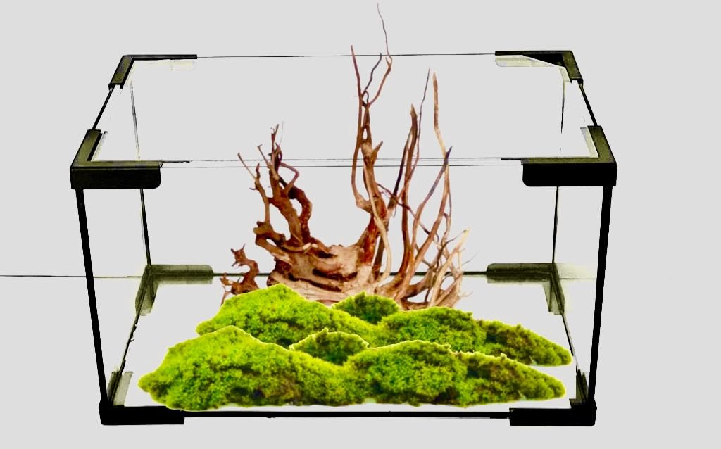 Acuario pecera de Cristal pequeña de 10 litros, akkua Pro 30, peceras pequeñas, Acuario pequeño de Cristal, Acuario pecera con Tapa, peceras para niños, peceras para Peces,