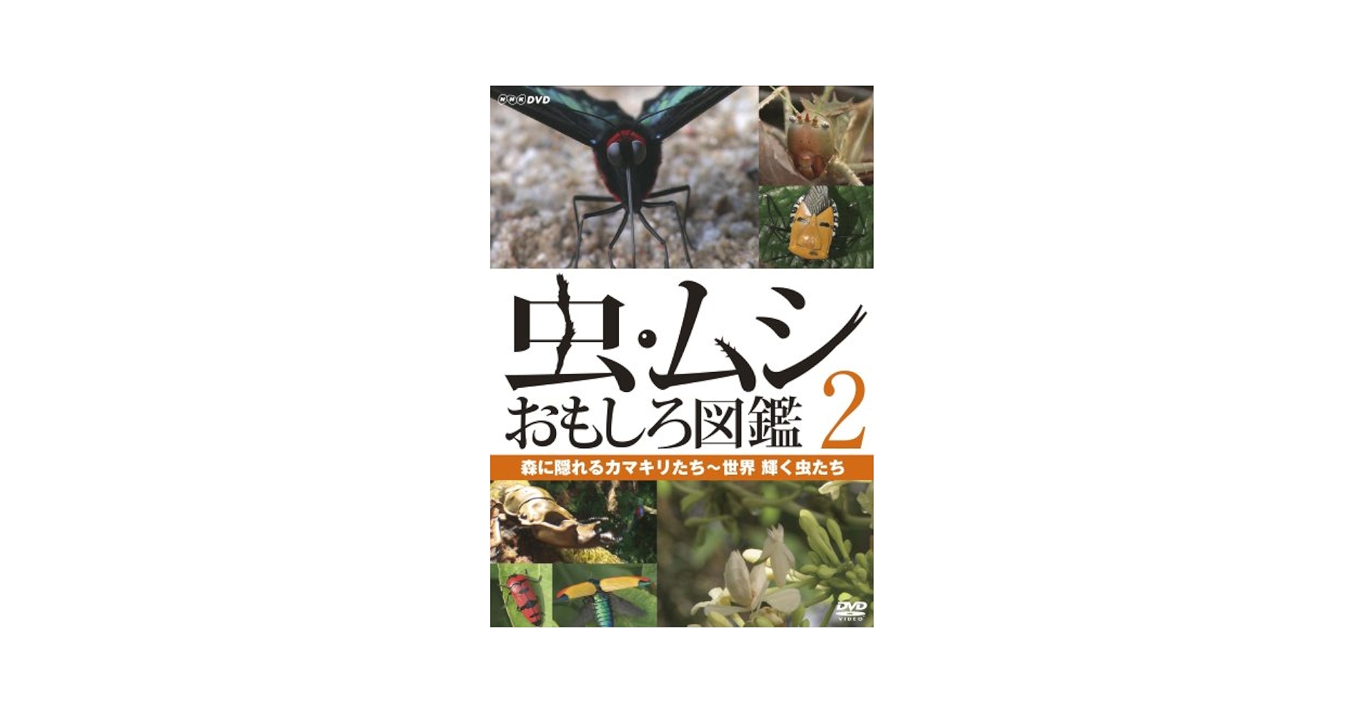 虫・ムシ おもしろ図鑑 2 森に隠れるカマキリたち~世界 輝く虫たち [DVD] 6g7v4d0 Amazon.co.jp: 虫・ムシ おもしろ図鑑 2 森に隠れるカマキリたち
