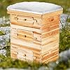 VEVOR Bee Hive 30 Frame Bee Hives Starter Kit, Beeswax Coated Fir Wood, 2 Deep + 1 Medium Boxes Langstroth Beehive Kit, Transparent Acrylic Windows with Foundations for Beginners Pro Beekeepers