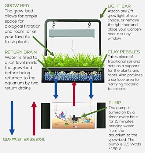 Aquasprouts Garden, Self-Sustaining Desktop Aquarium Aquaponics Ecosystem Kit, Fits Standard 10 Gallon Aquariums #TOP6