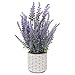 DILATATA Lavender Flowers Artificial Lavender Decor Fake Lavender Plant in Cement Pot Faux Plants in Pots for Rustic Home Bathroom Table Centerpieces Wedding Decor Potted Lavender Flower Purple Decor