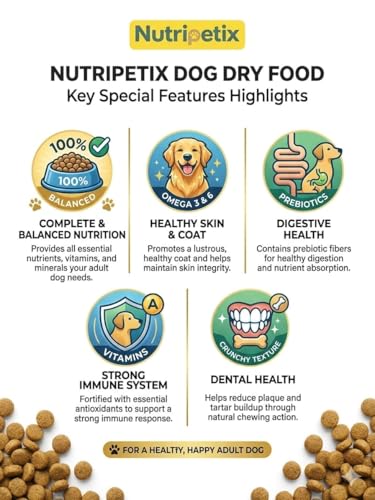 Image of Premium Dry Dog Food for Adult Dogs - Chicken & Rice Recipe (1kg)