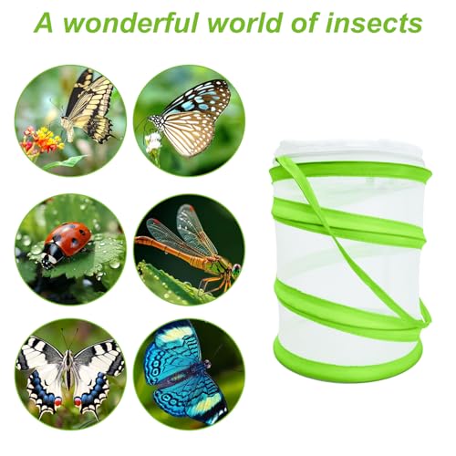 Pop-Up Design Schmetterlings- und Insektenlebensraum Käfig, Zusammenklappbares Schmetterlingshaus mit Insekten-Netz, 16x20cm