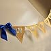 Royal Prince Baby Shower Bunting Banner. King Crown Garland.