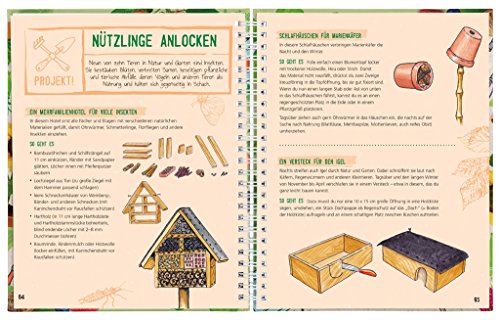 Gärtnern in Beet, Topf & Kasten: Das Gärtnerbuch für Kinder | Gärtner-Basics und Tipps für Fortgeschrittene (Expedition Natur) - 3