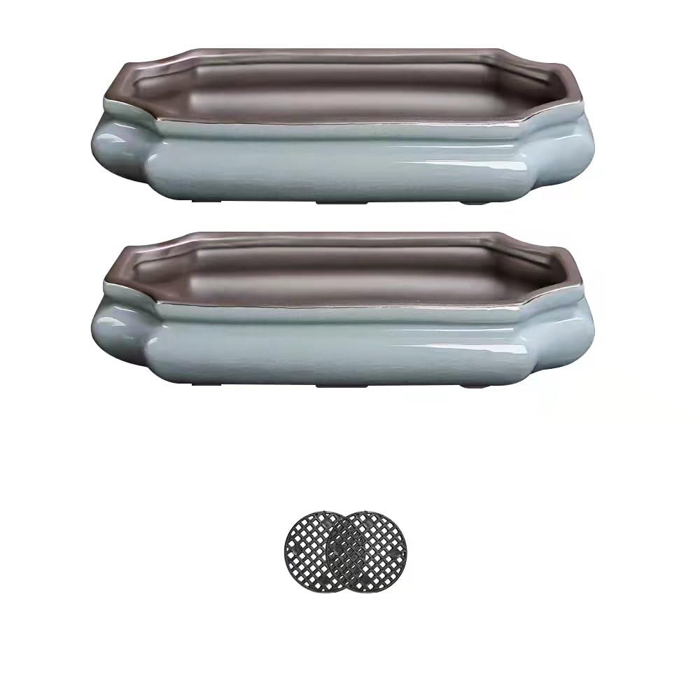 (10-Inch Shallow Bonsai Pots 2-Piece Set Water Glaze Blue Succulent Platter Bonsai Tree Ceramic Flower Pot Handmade (Without Plants)