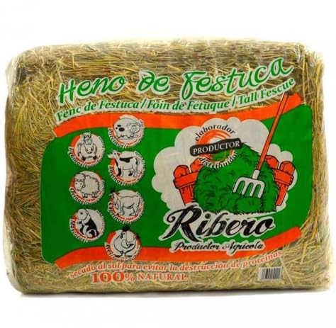 Heno de Festuca para Roedores 5Kg (Ribero)