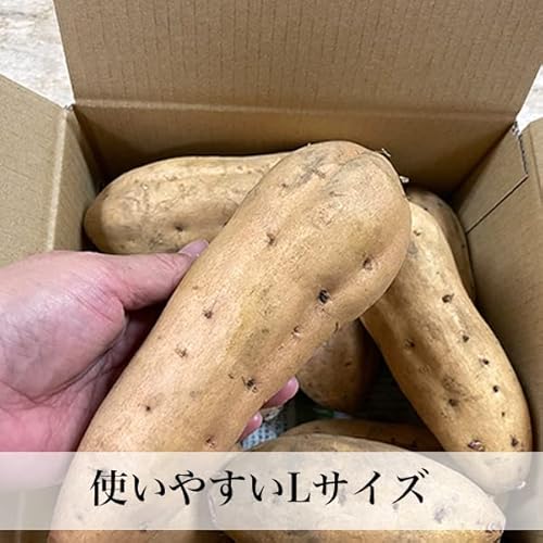 朝ごはん本舗安納芋 Lサイズ