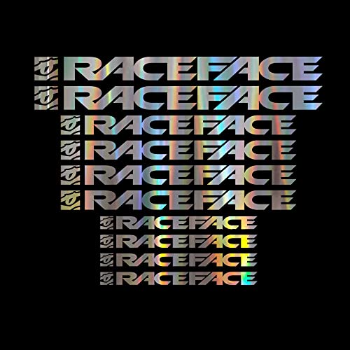 WYJPFN 10PC for RACEFACE Decals Stickers Cycling MTB BMX Bike Frame (Silver)