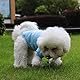 QiCheng&LYS Hundehoodie kleine Hunde Strickpullover wintermantel für kleine Hunde (Rosa/Blau, S)