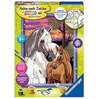 Ravensburger Malen nach