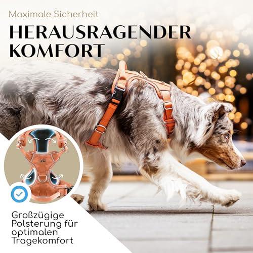 FREUDENTIER Hundegeschirr mit Mesh-Polsterung - Höchster Komfort, bombenfester Sitz & maximale Sicherheit - Anti-Zug-Frontring - Brustgeschirr für große, mittelgroße und kleine Hunde (Orange, L)