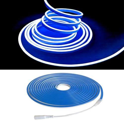 Balabaxer Blau Neon-LED-Streifenlichter, 16,4 Fuß/5 m 12 V DC 600 SMD2835 LEDs Wasserdichtes Lichtschlauch für Indoor Outdoor Home Decoration (mit Netzteil)