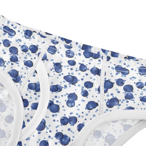 Boys' Exclusive Briefs Toddler Underwear 95% Combed Cotton Boxerbriefs 2T Blueberry Pattern 764