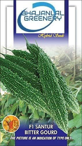 BHAJANLAL GREENERY® Seeds Bitter Guard Imported Green-Karela Seeds Vegetable seeds Kitchen Garden Packet (BITTER GUARD SEEDS)