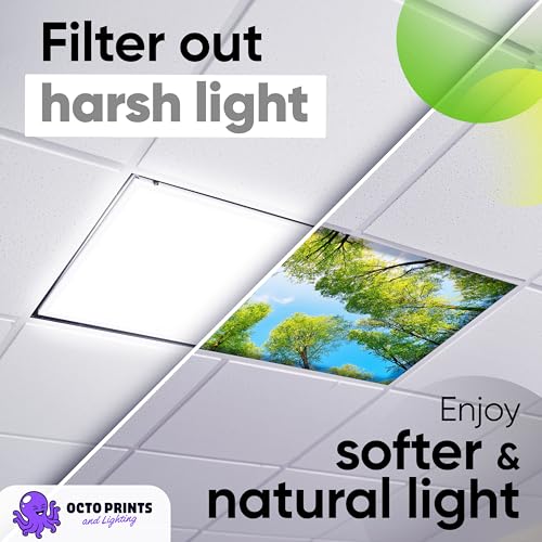 Image of Fluorescent Light Covers for Ceiling Lights - 4 Seasons Magnetic Cover for Fluorescent Or LED Fixture - Must Haves Teacher Supplies - Classroom, Home, Office Cubicle Decor - Filters Overhead Lighting