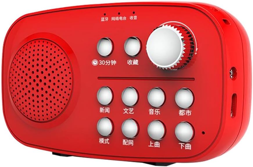 Network Radio Dedicated High Volume Singing Machine Card Insertion Charging