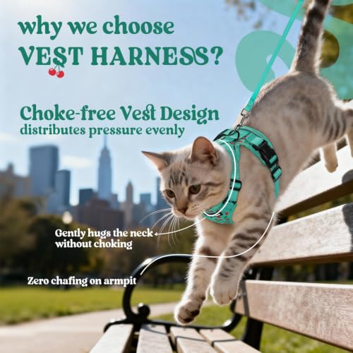 Image of rabbitgoo Cat Harness and Leash Set, Escape Proof Vest, Cherry Grove | Soft Breathable Mesh, Easy Adjustable Fit, Snap Buckles, Sturdy Clip, Reflective Strips, for Medium to Large Cats Walks, M