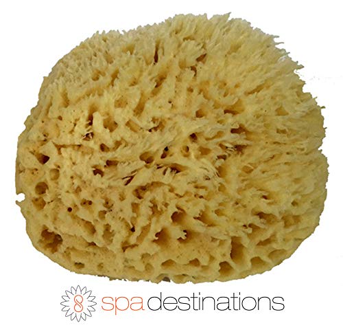 Spa Destinations Natural Sea Wool Sponge 6-7