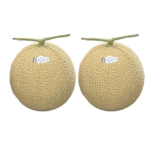  A[X 1.0kg×Q YnI Mtg