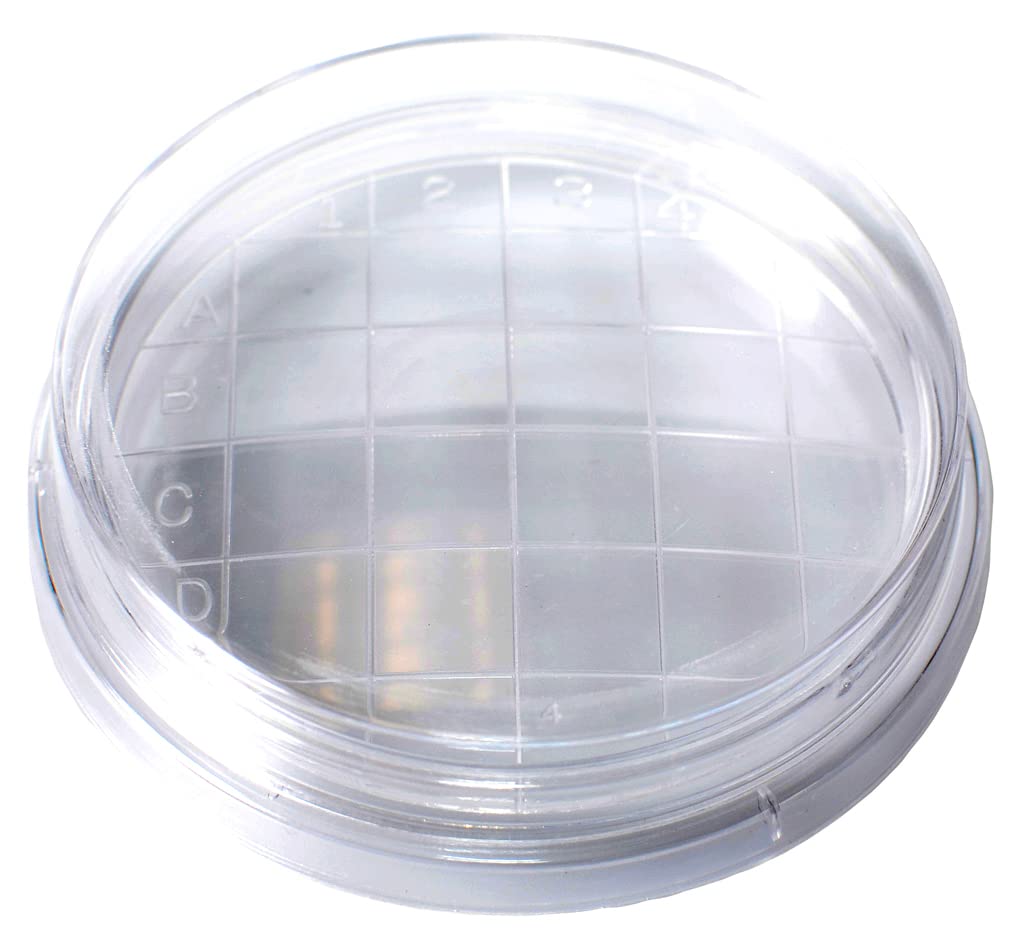 KORD-Valmark Petri Dish, 65x15mm Contact Dish Plate, Convex Bottom, Stackable, case/500