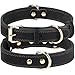 Hund und günstig Kaufen-Joytale Hundehalsband Leder mit QR ID Tag, Weiches Echtleder Hundehalsband Langlebiges und Verstellbare für Große Hunde, Schwarz, L