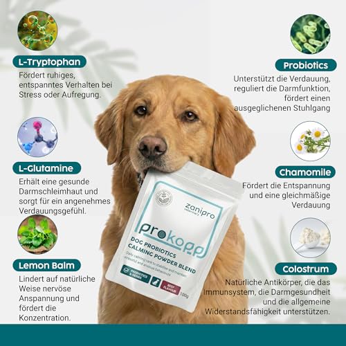 Zanipro Beruhigung für Hunde – Probiotika Hund mit L-Tryptophan, Anti-Stress Hund Pulver bei Angst bei Hunden, Silvester Hund Beruhigung & Autofahrt, entspannende Unterstützung – Rindgeschmack, 100 g