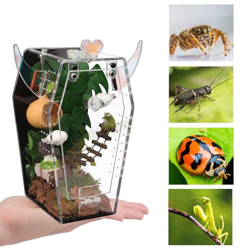 Image of Acrylic Jumping Spider Enclosure，3mm Clear Coffin Terrarium with Magnetic Door & Feeding Hole, Secure Habitat for Jumping Spiders, Mantis, Small Tarantulas