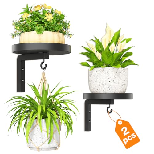 LASZOLA 2 Stück Pflanzenständer Pflanzenhalter Wand Metall mit Haken Pflanzenregal Blumenständer Pflanzen Blumenregal Wandhalterung Indoor für Küche Badezimmer Wandbehang Blumentopf Ständer Schwarz