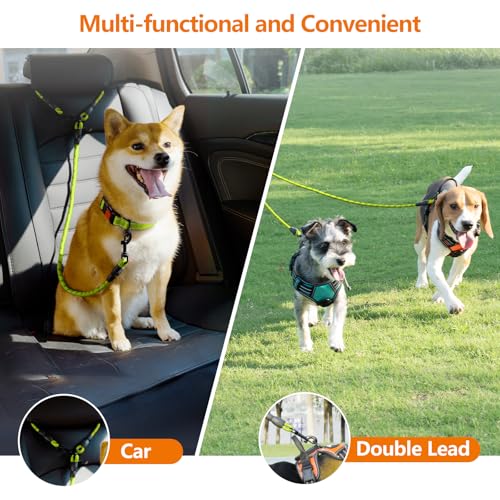 Taglory Doppelte Leinen/Hundeleine Doppelleine für 2 Hunde/Keine Verwicklung Reflektierend Kletterseil/Verstellbar Splitterleinen/75cm, GRÜN