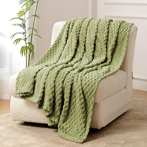 FY FIBER HOUSE Fleece Throw Blanket for Couch 300GSM Super Soft Plush Fuzzy Blankets Lap Blanket for Office Sofa, 50x60 Inches, Sage Green