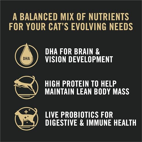 Purina-Pro-Plan-All-Life-Stages-High-Protein-Cat-Food-Chicken-and-Rice-Dry-Kibble-125-Pound-Pack-of-1