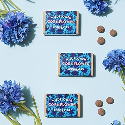 Cornflower Seed Balls - Set of Three Seed Boxes (18 Balls) Cover