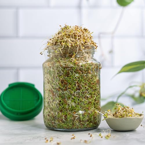 Image of Sprouts Maker Jar 720ml Original Patented Glass Bean & Grain Sprouter | 132 Ventilation Holes, Built-in Drainage Stand, BPA-Free Lid