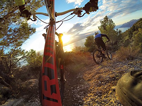 Gopro Roll Bar Mount (Gopro Official Mount) #TOP4