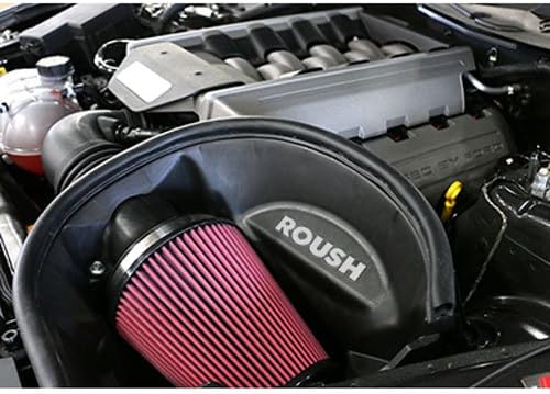 ROUSH 421826 2015-2017 Mustang 5.0 Liter V8 Cold Air Kit