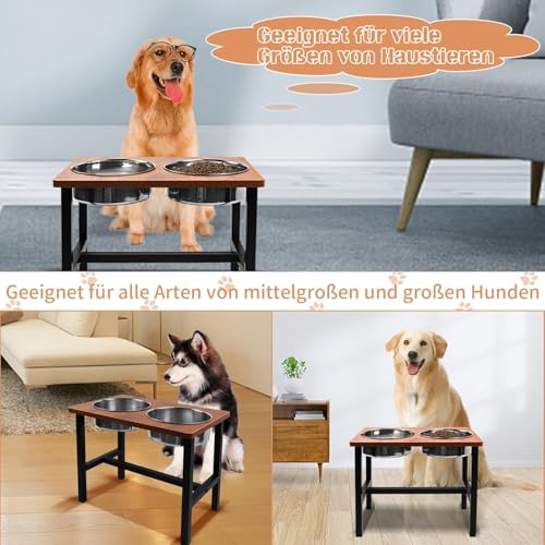 Erhöhter Hundenapf, Erhöhter Futternapf Hund, Eiserner Hundenapfhalter mit 2 Hundenäpfe aus Rostfreiem Stahl, Futterstation Hund für Mittlere Große Hunde