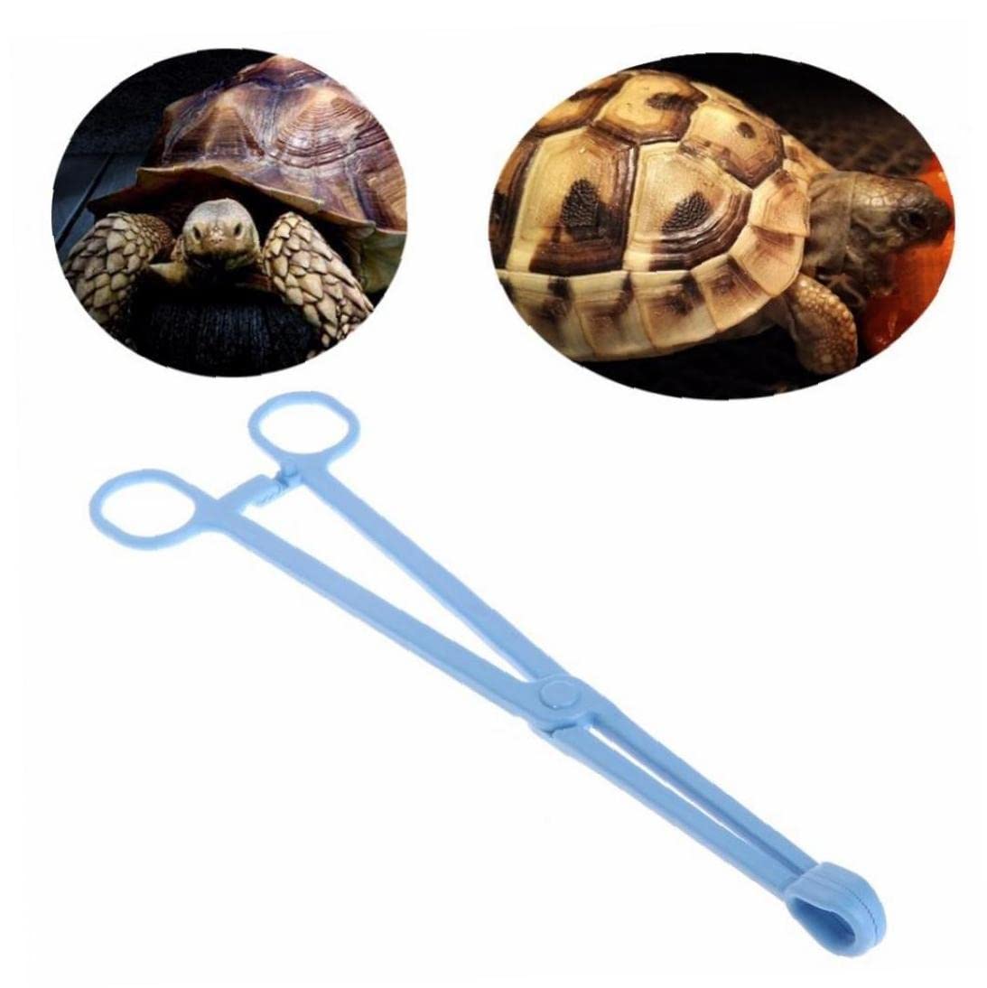 Amazon.co.jp: 爬虫類トング ペット 飼育ピンセット 両生類 給餌ツール