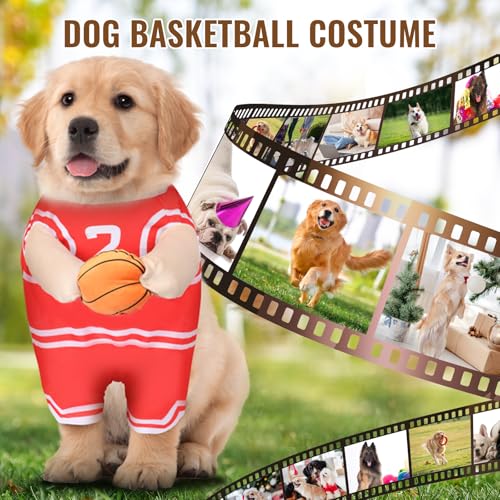 Dog-Basketball-Costume-Dog-Basketball-Costume-with-Ball-Fun-pet-Costumes-Dog-Basketball-Player-Costume-Basketball-Costume-for-Dogs-Costumes-for-Dogs-Funny-Dress-Up-Sports