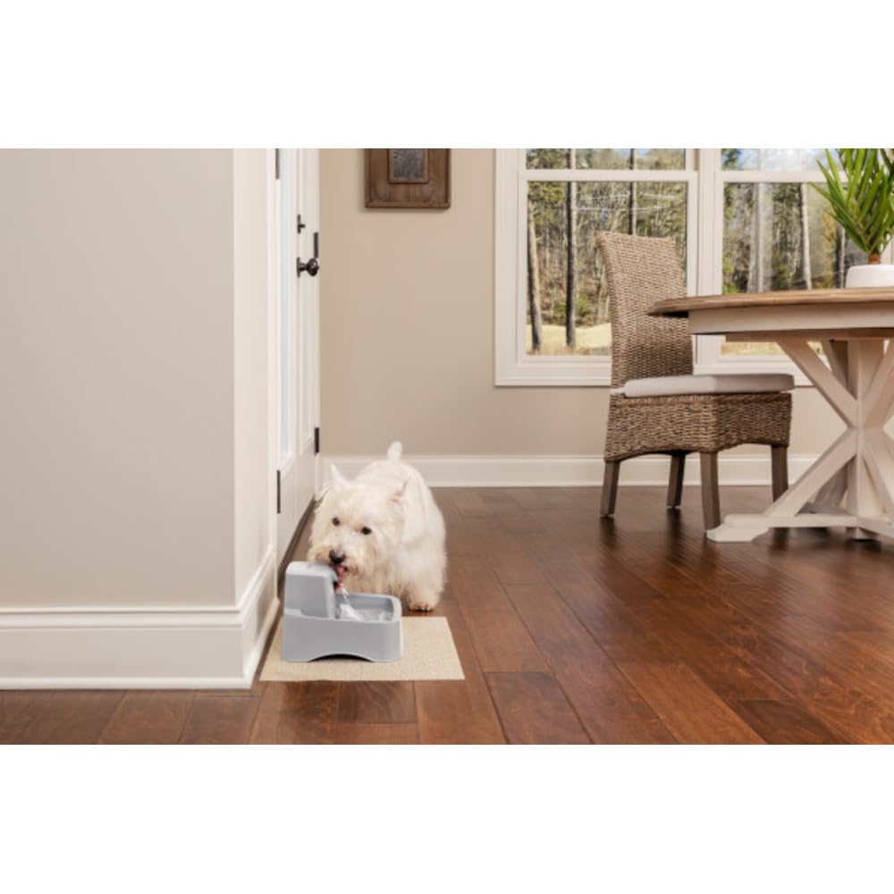 PetSafe Drinkwell Fontaine, 1,5L
