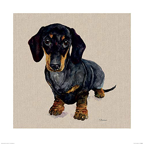 Toile imprimée multicolore PPR46196 de 60x60 cm pour salon moderne