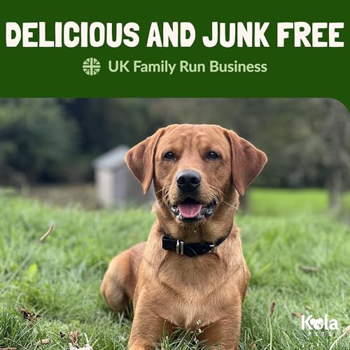 Ostrich Meat Sticks Dog Treats - 100% Natural & Gently Air-Dried, Puppy Treats, Hypoallergenic Dog Treats, Natural Dog Treats, High in Lean Protein & Low in Fat, 50g - Image 6