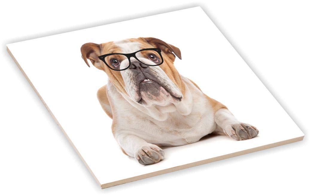 Sam Sandor 4 Inch Ceramic Tile Art - Brown & White English Bulldog Hipster Glasses