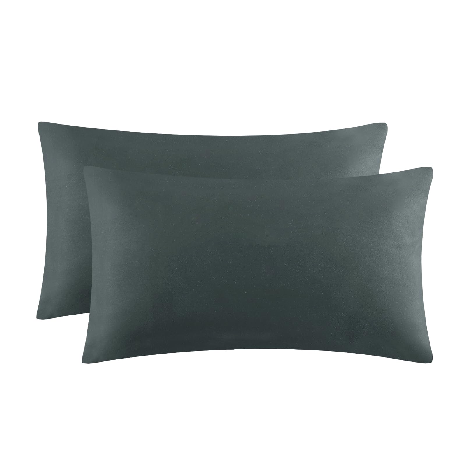 Aisbo Kissenbezug 30x50 Grau 2er Set - Kopfkissenbezug 30 x 50 Anthrazit mit Reißverschluss aus Mikrofaser, ÖKO-TEX Kissenhülle 30x50cm, Weich und Bügelfrei